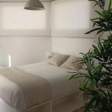 Salitre Center Malaga